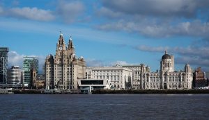 liver building 