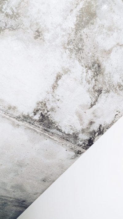 damp mould in home